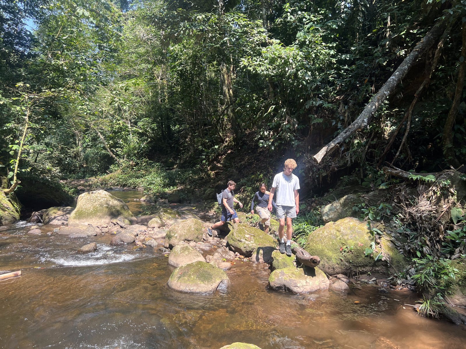 Fiesta de San Juan en Tarapoto 2026: guía completa para vivirla como local 2 Cascada en la selva de Tarapoto, Perú